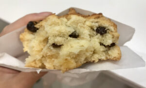 raisin scone